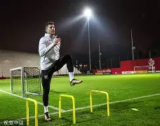 爱游戏体育APP下载-包含大坂直美焦点对战，莱万多夫斯基与60激战澳大利亚队分钟，战术调整胜负难料！的词条-爱游戏体育APP下载